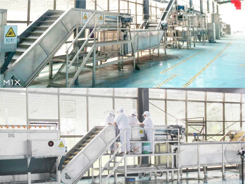 Fresh Mango Pre-Treatment System