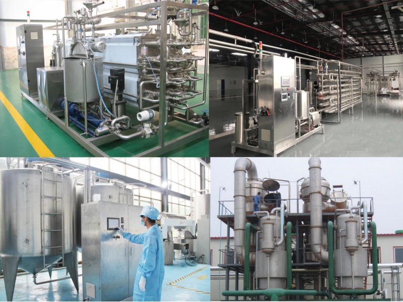 Mango Pulp Concentration and Sterilization System